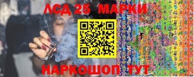 тгк Можга