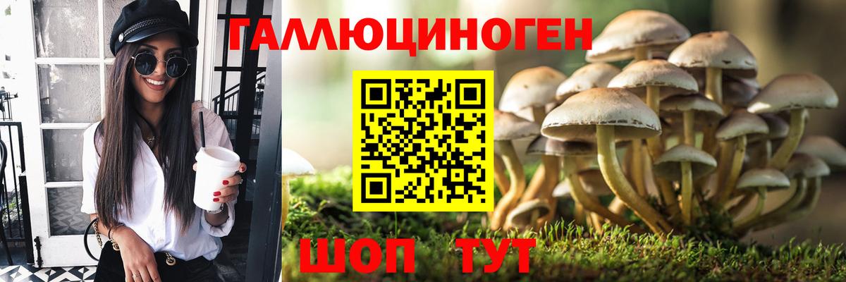 Галлюциногенные грибы мицелий Верхняя Пышма